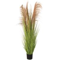 uploads/erp/collection/images/Home Garden/CongDing/XU0611695/img_b/XU0611695_img_b_5